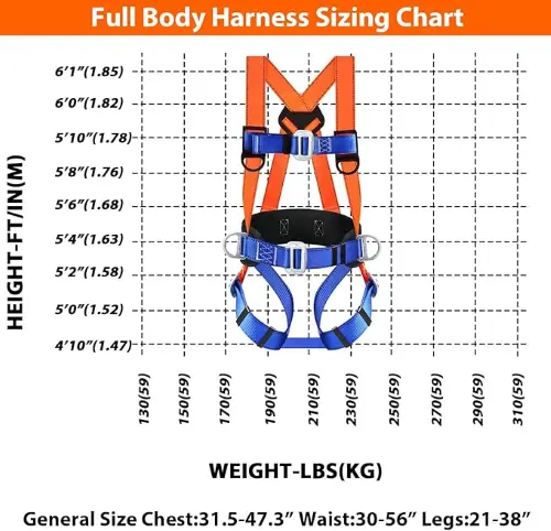 Full-Body Harness with Lumbar Support
