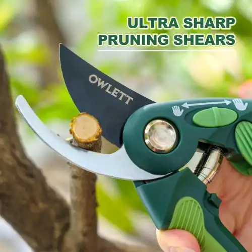 How to Choose High Quality Pruning Shears for Thick Branches